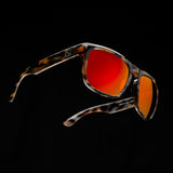 81's Patagonia (Gloss)